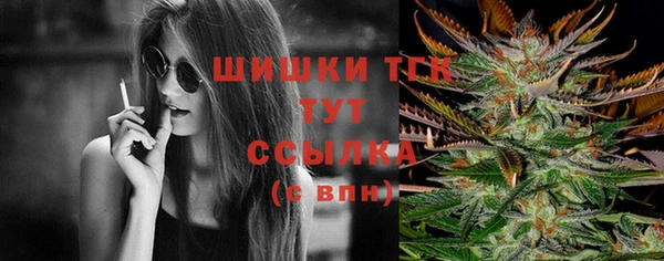 мдпв Лабытнанги