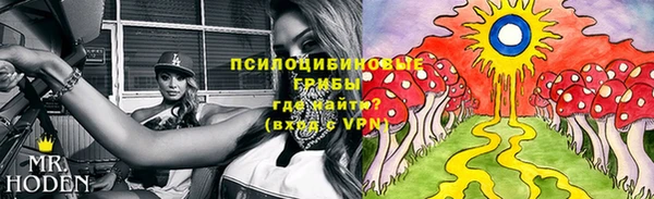 мескалин Ладушкин